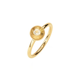 Gelbgold, Ringe, Schmuckwerk Glasklar Ring, Ref: DR1067-GG