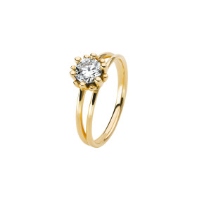 Gelbgold, Ringe, Schmuckwerk Edelweiß Ring, Ref: FR134-GG