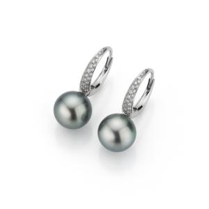 Gellner - Modern Classics Creole