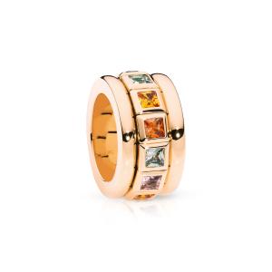 Tamara Comolli - CURRICULUM VITAE Ring INDIAN Summer