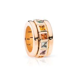 Tamara Comolli - Curriculum Vitae Ring Indian Summer