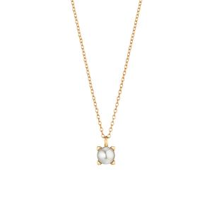 Gellner - Delight Collier
