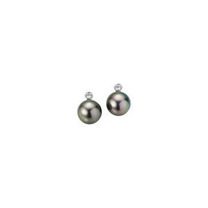 Gellner - H2O Ohrstecker