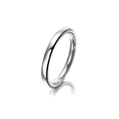         Weißgold, Ringe, Meister Verlobungsring