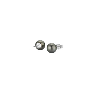         Weißgold, Ohrringe, Gellner Basics Ohrstecker