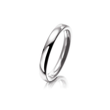         Weißgold, Ringe, Meister Verlobungsring