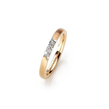         Rotgold, Ringe, Schmuckwerk Alpen Ring