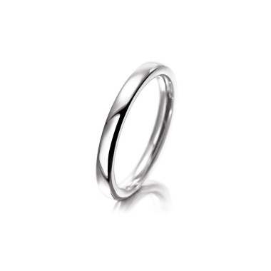         Weißgold, Ringe, Meister Verlobungsring