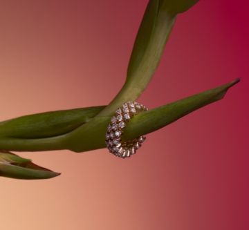 Serafino Consoli Schmuck Ringe Banner Desktop